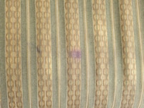 Stains on the couch