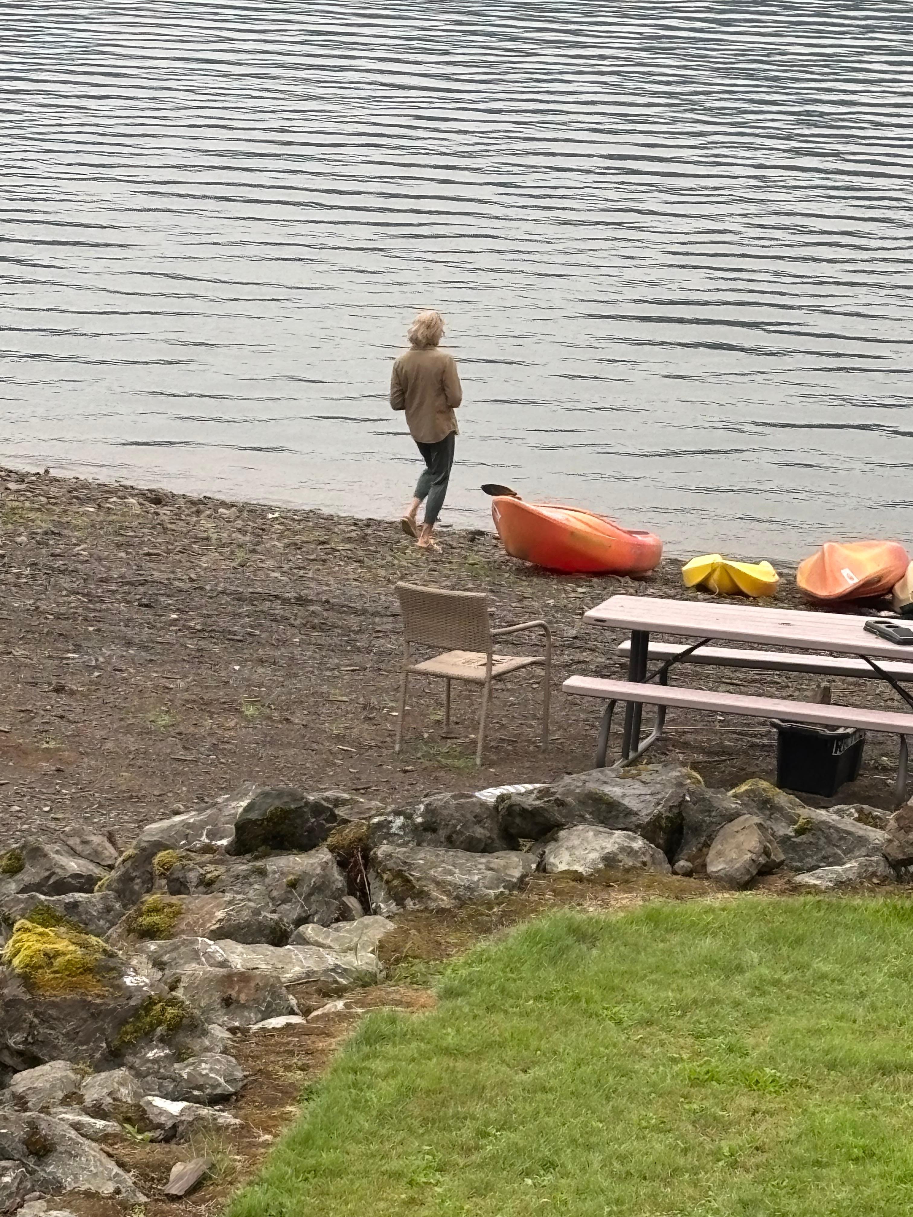 Looking out from the back deck