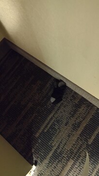 Someone's dirty socks before vwe came Room wasn't cleaned