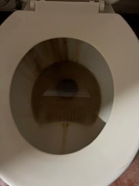 Toilette