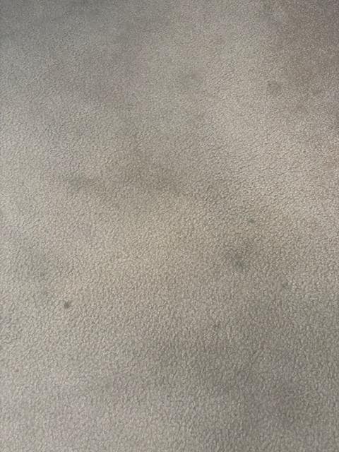 Carpeting 2nd guest bedroom