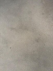 Carpeting 2nd guest bedroom