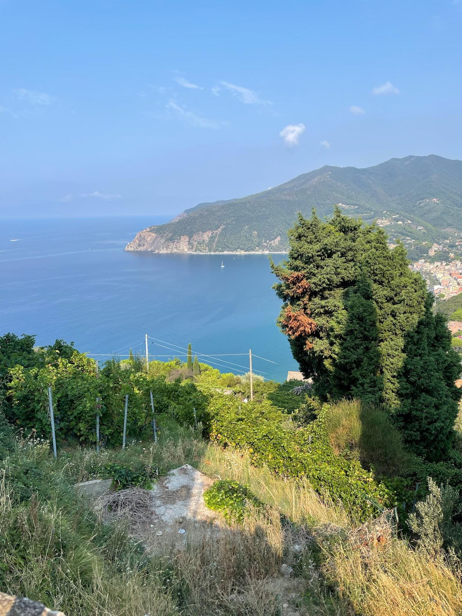 The view from the terrace 