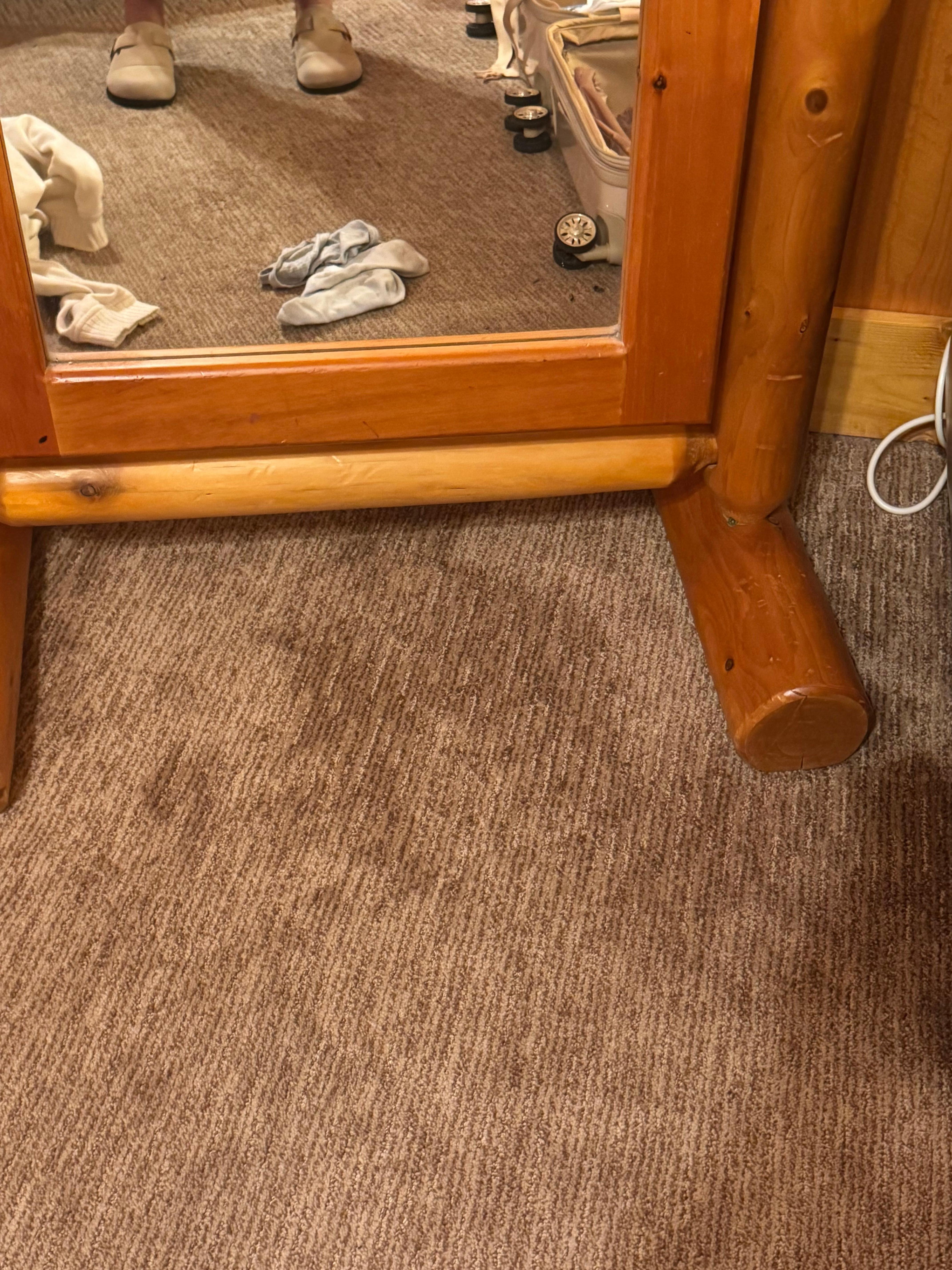 Carpet in master bedroom
