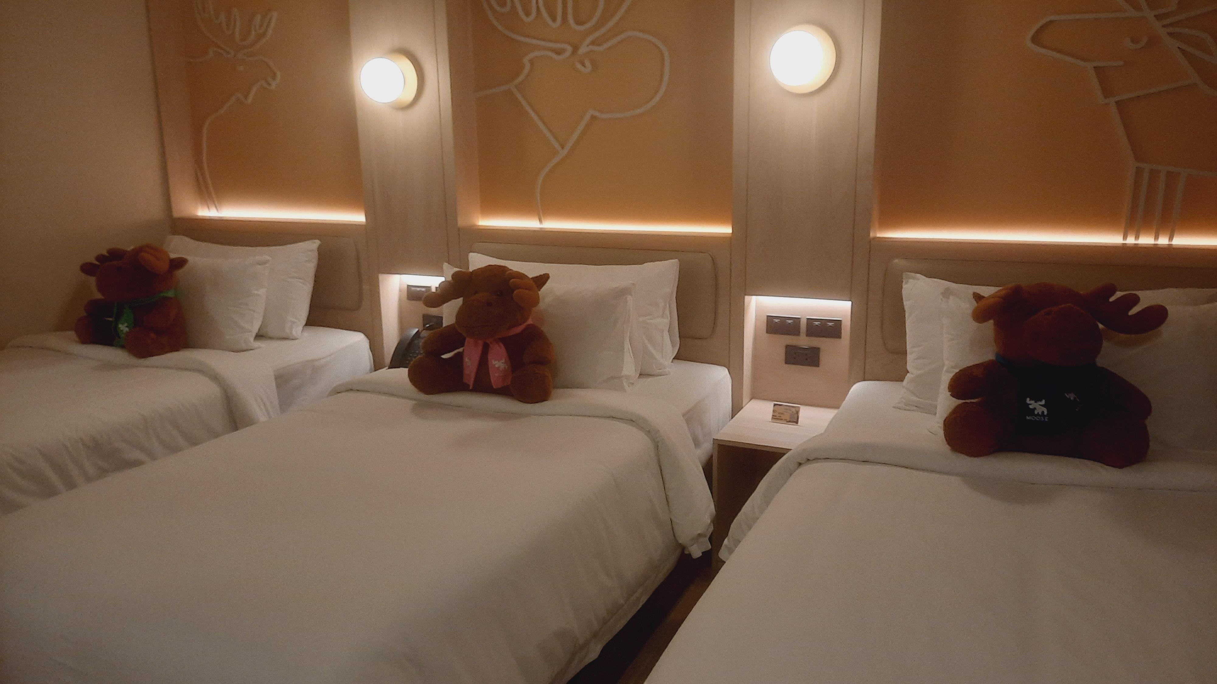 入住時有3隻毛公仔歡迎我們。