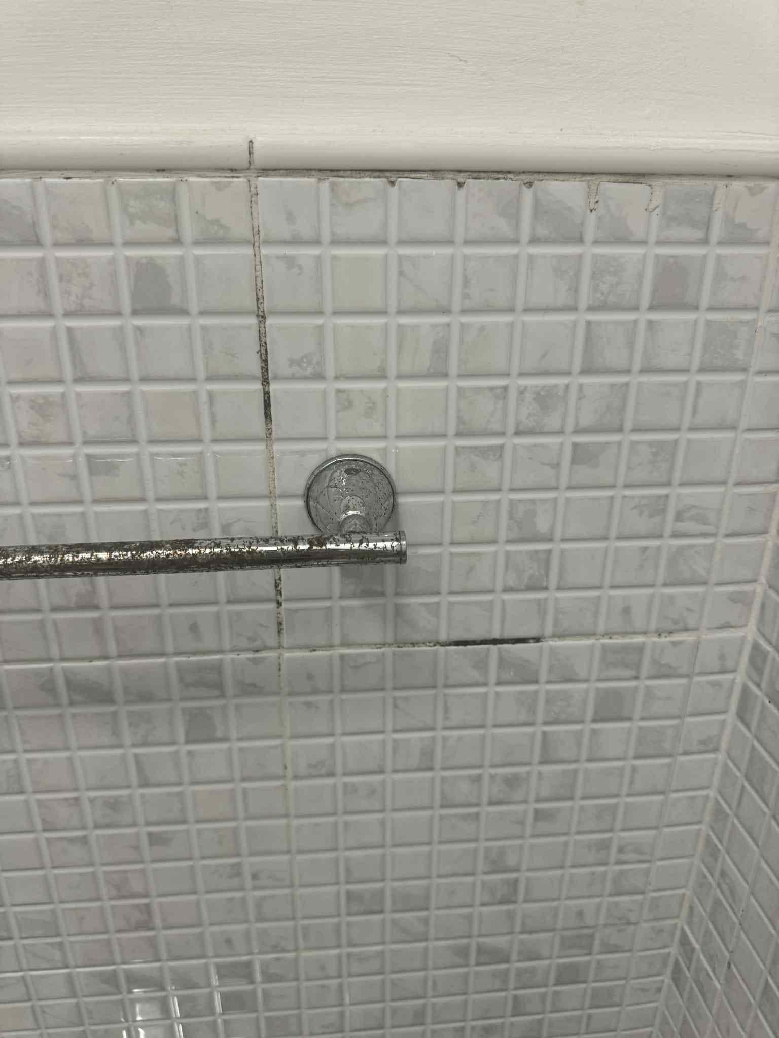 Bathroom Moisture - Mold