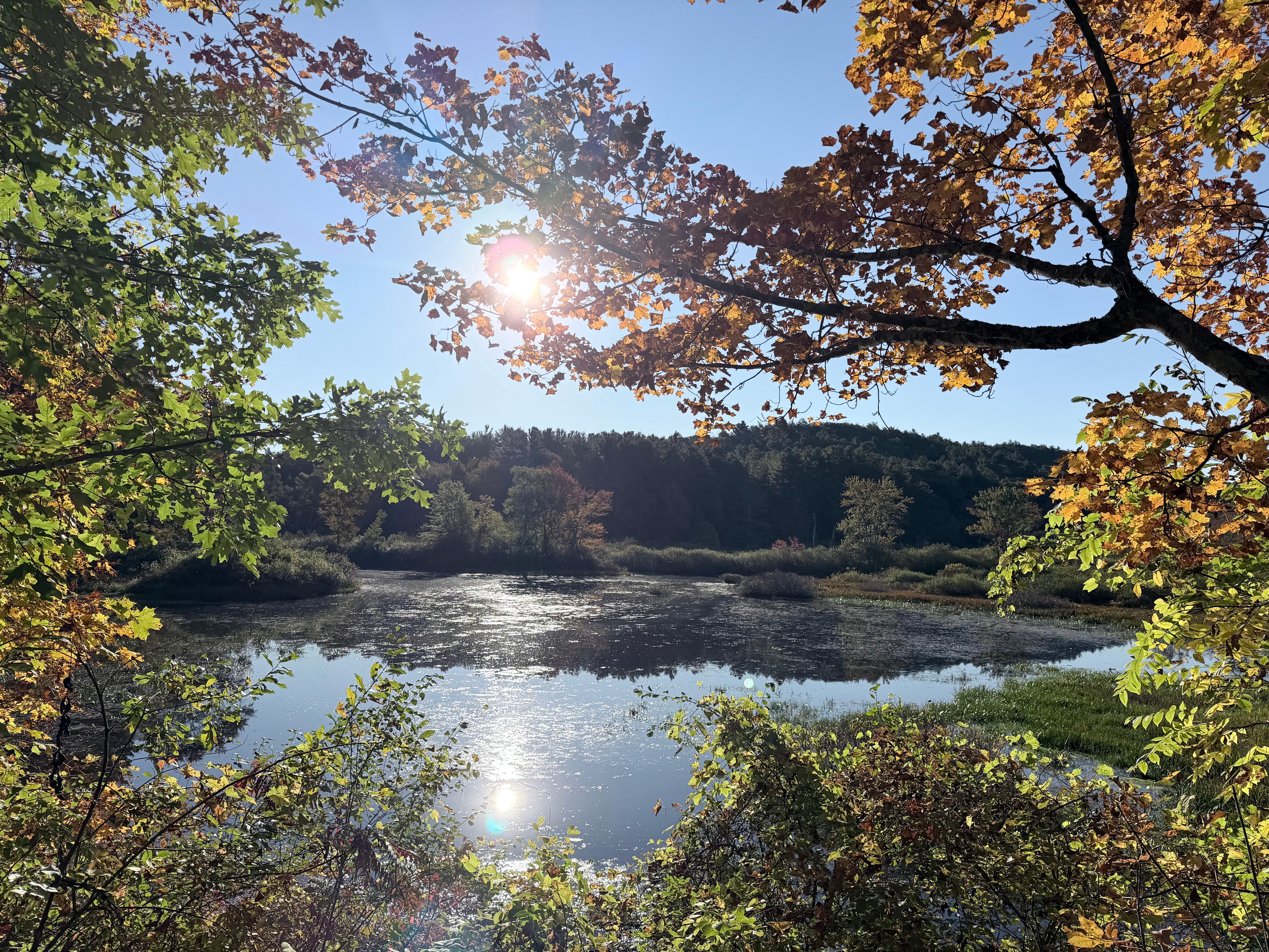 pond off of the rail trail easy hike from the inn