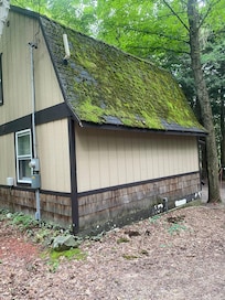 Moss growing on the roof.