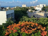View from rooftop deck