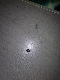 on the night stand by the bed