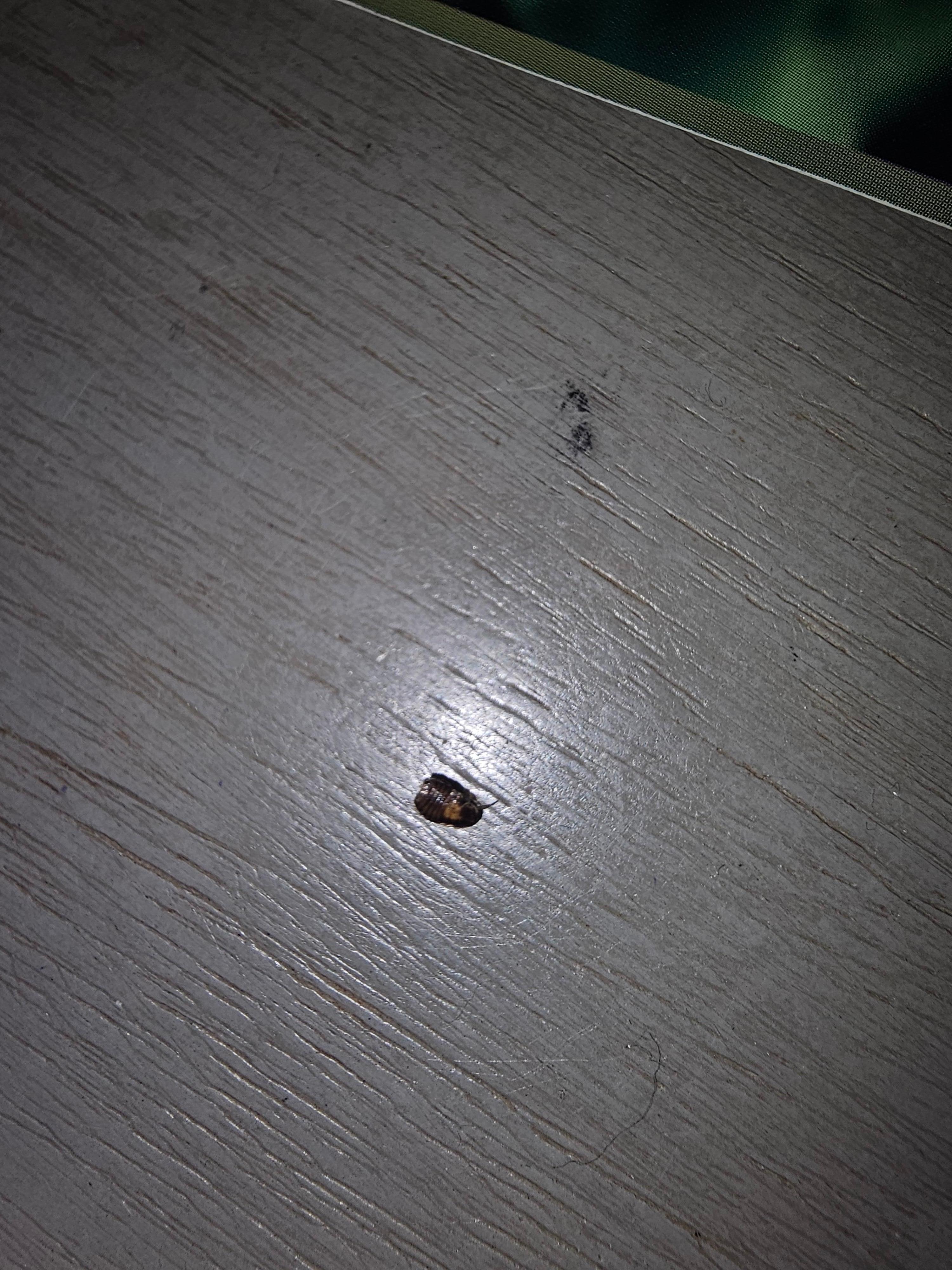 on the night stand by the bed