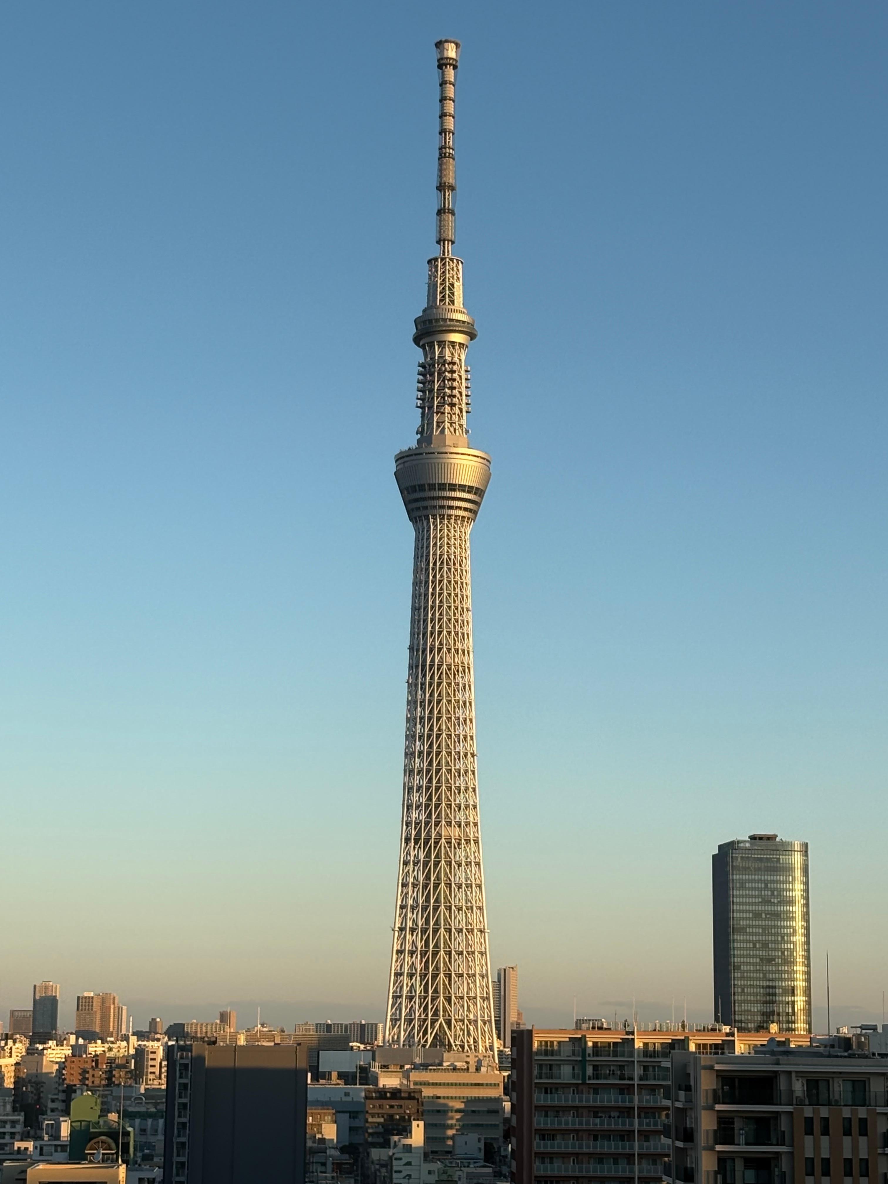 部屋からのスカイツリーです