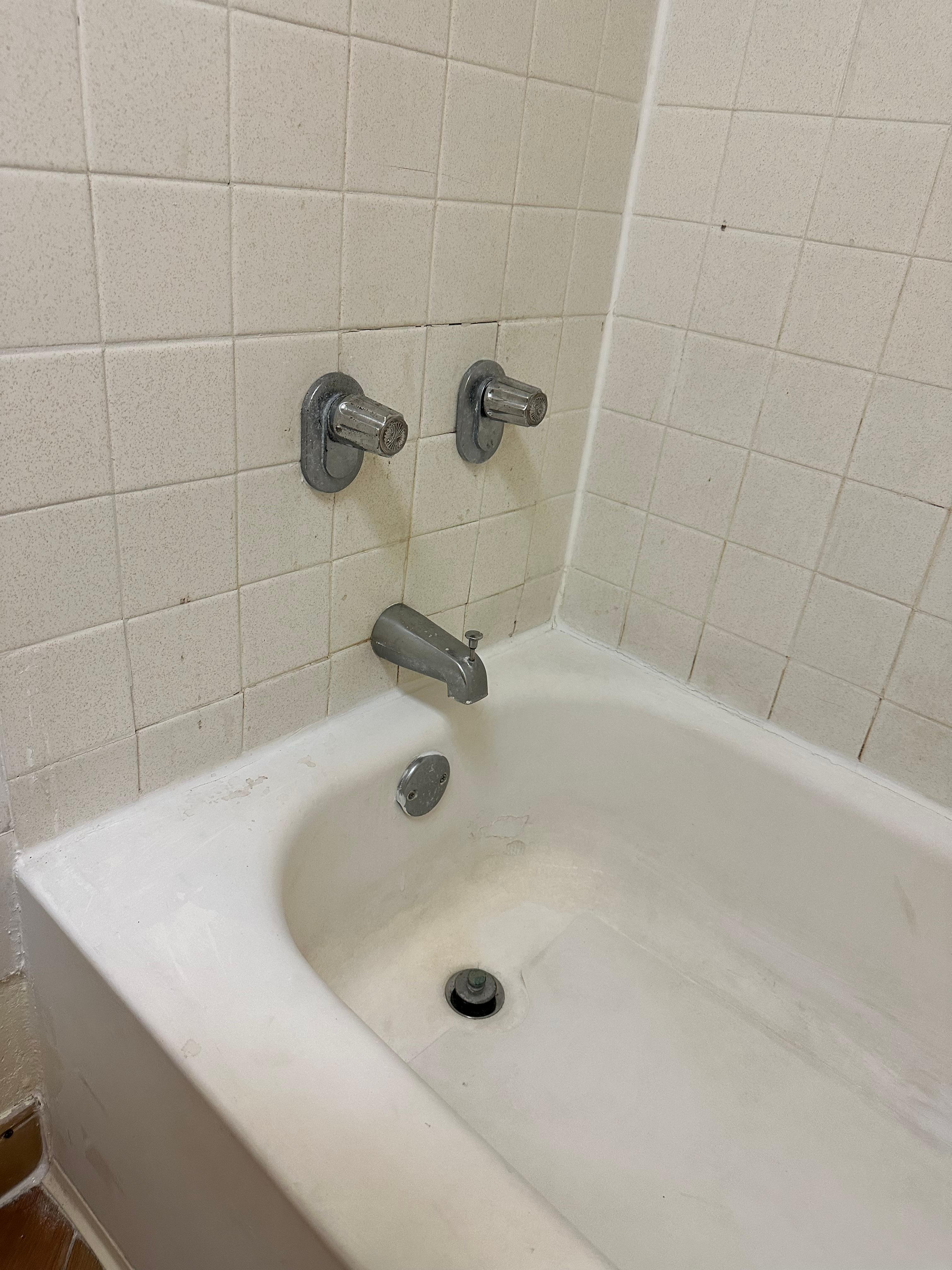 Disgusting bathtub and walls