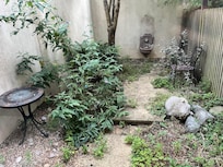 Back patio inaccessible and overgrown