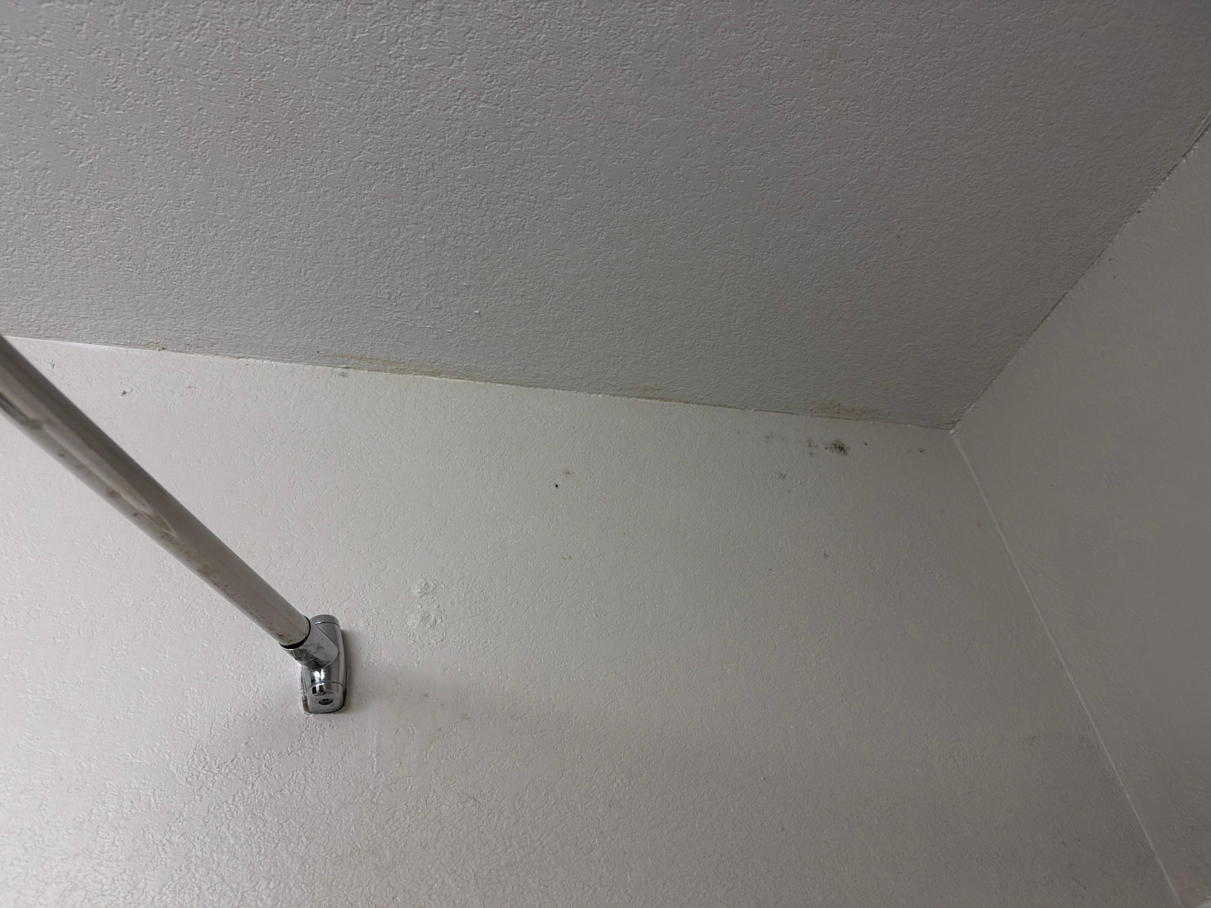 Mold in bathroom