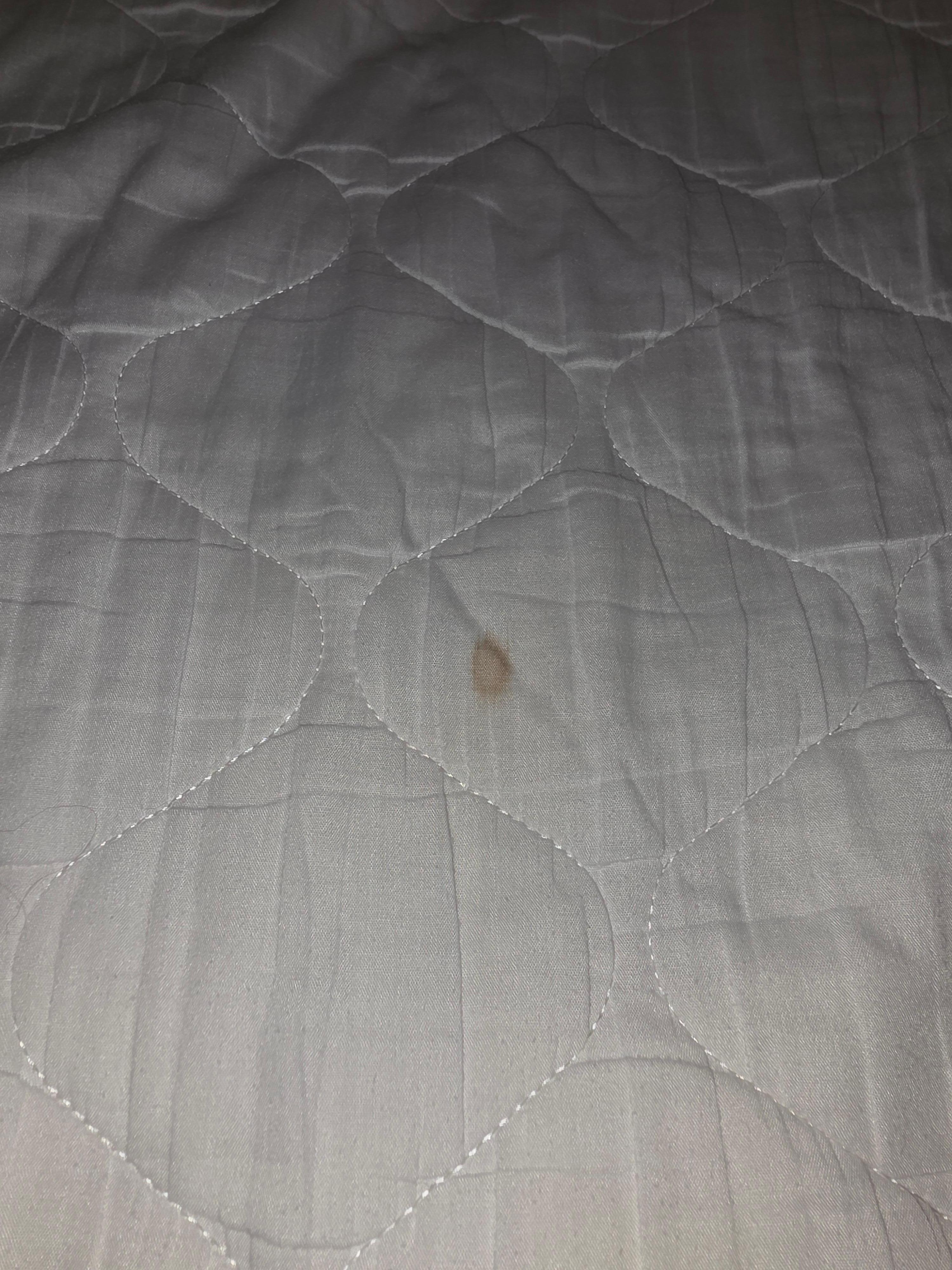 Blood on bedding