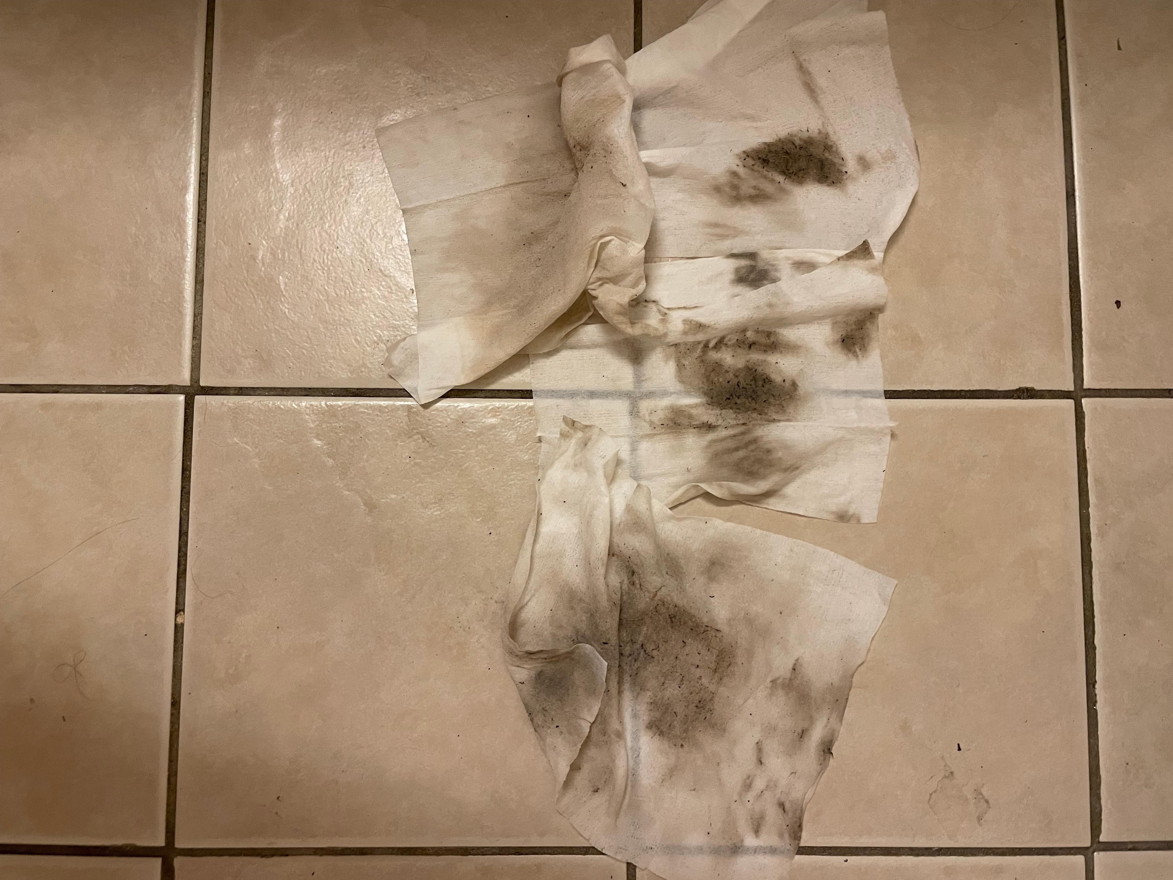 After my shower I walked around the room getting ready and this is the dirt that I cleaned off my feet before I could put on my shoes. The floors were sticky