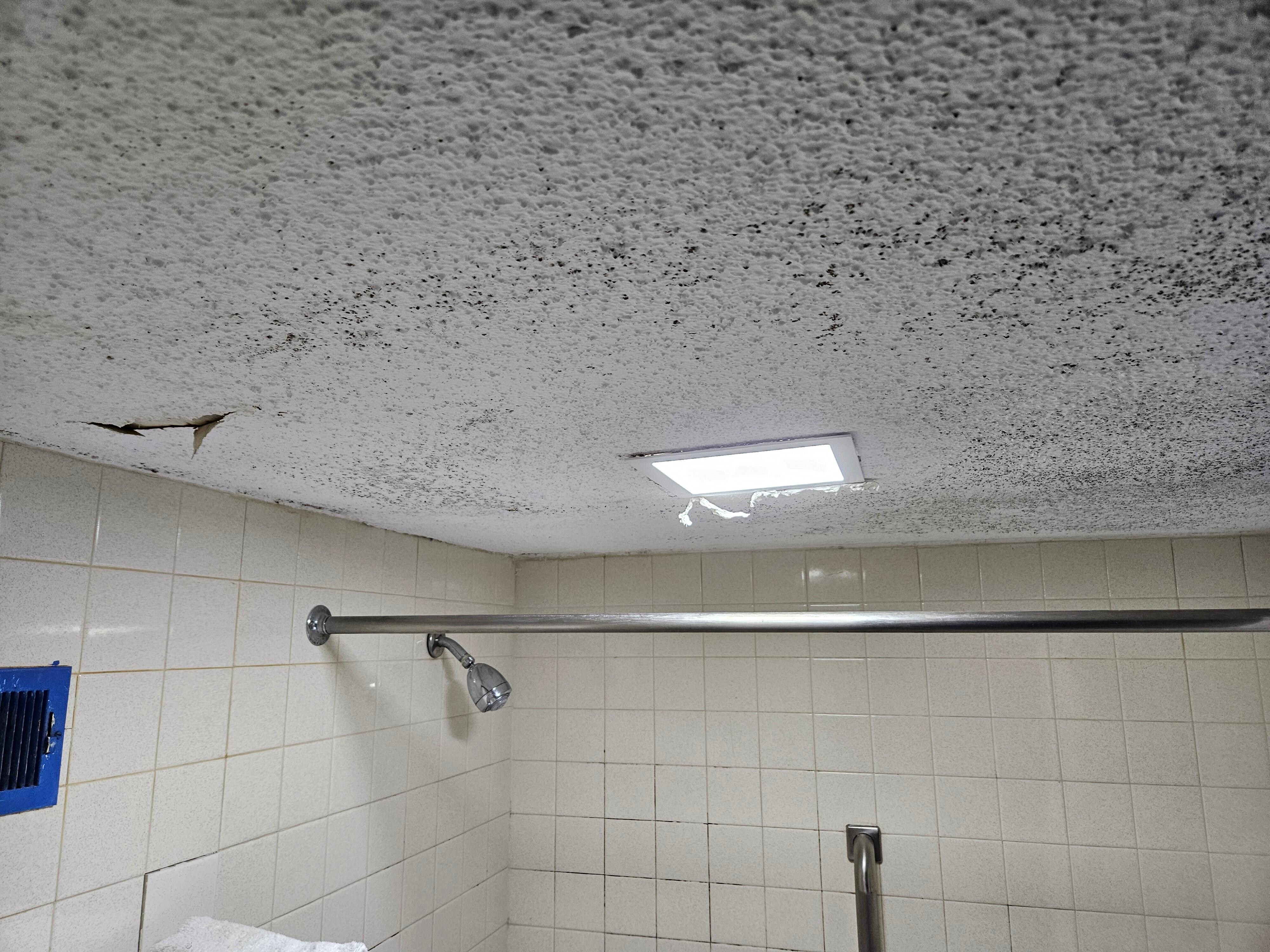 Bathroom ceiling with mold, toilet paper or something stuffed around the light fixture and part of the ceiling cracked and open.
