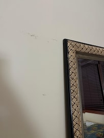 Scuffed walls in the guest bedroom, mirror not even hung.