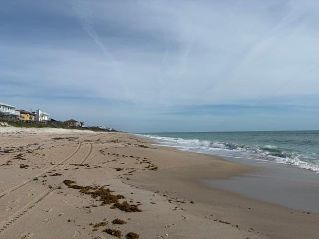 The busy beach!