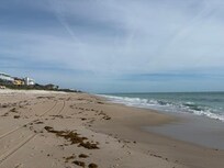 The busy beach!
