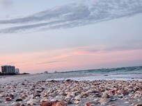 Mornings are just as gorgeous! Plenty of shells!
