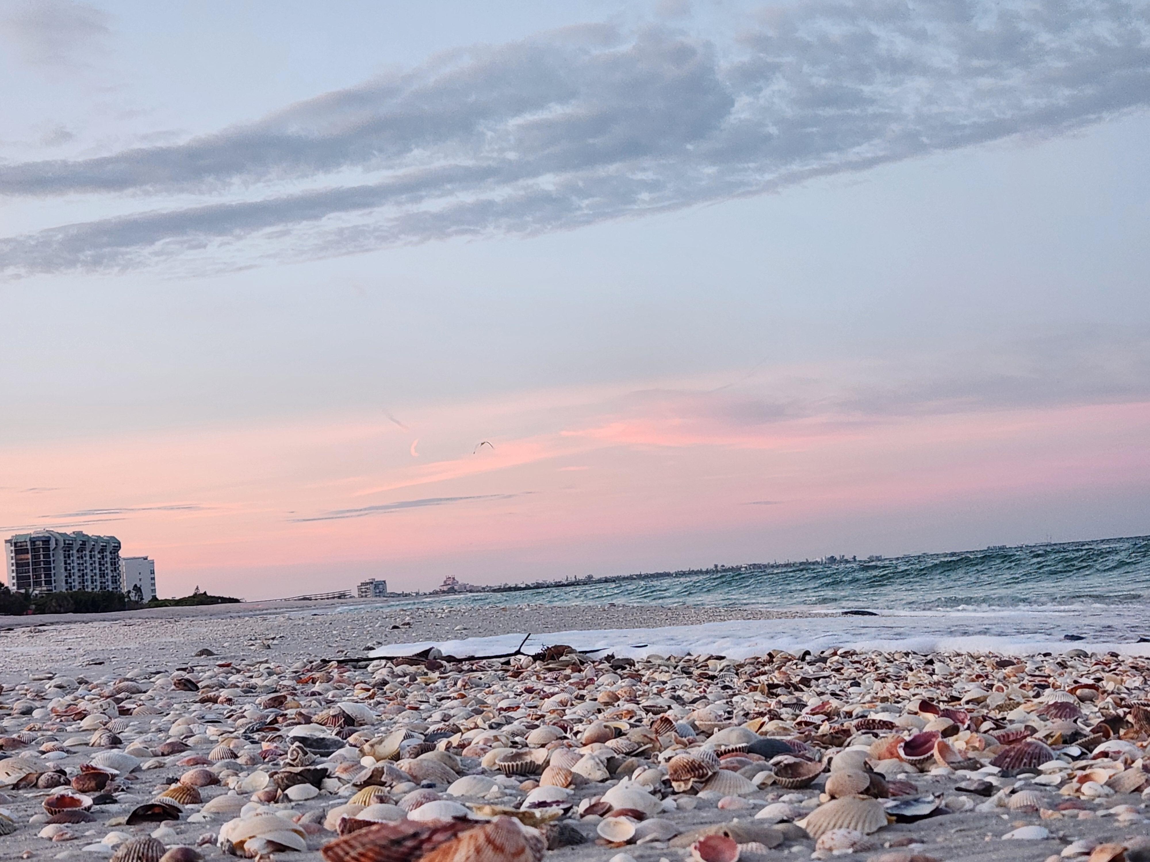 Mornings are just as gorgeous! Plenty of shells!