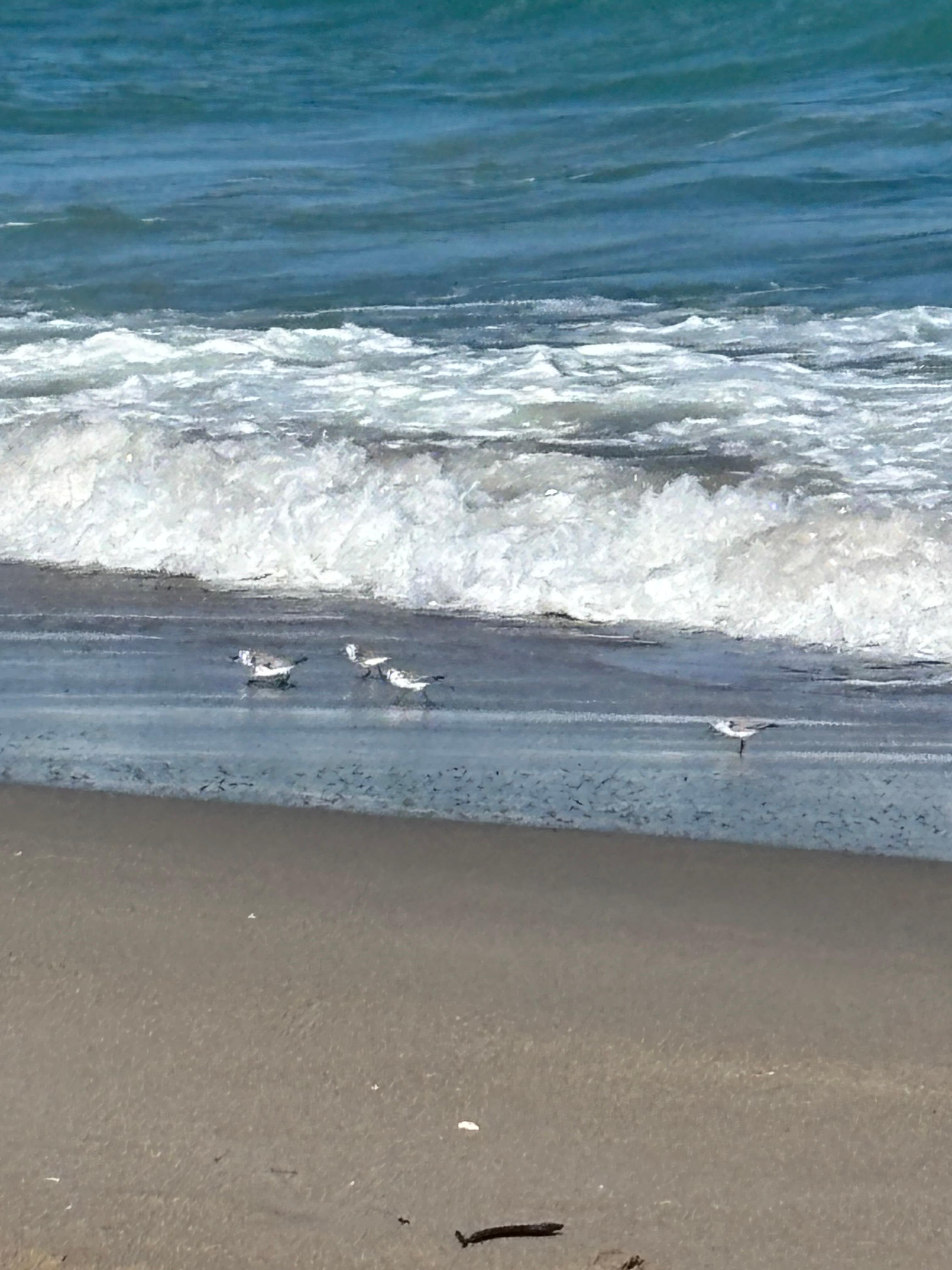 The beach was clean, the water clear