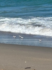 The beach was clean, the water clear