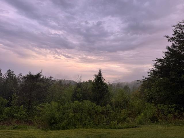 View From Back Porch