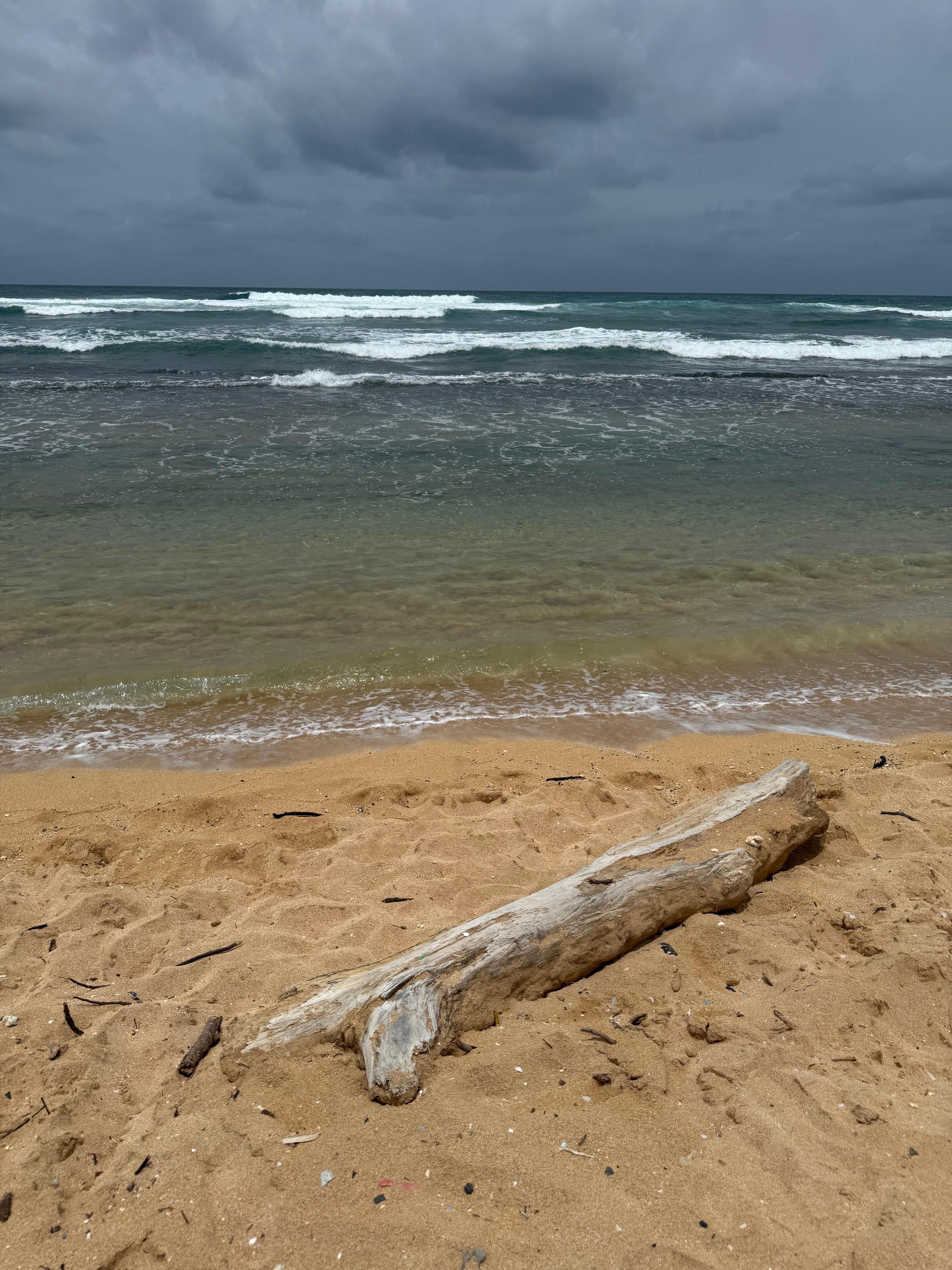 Beach area