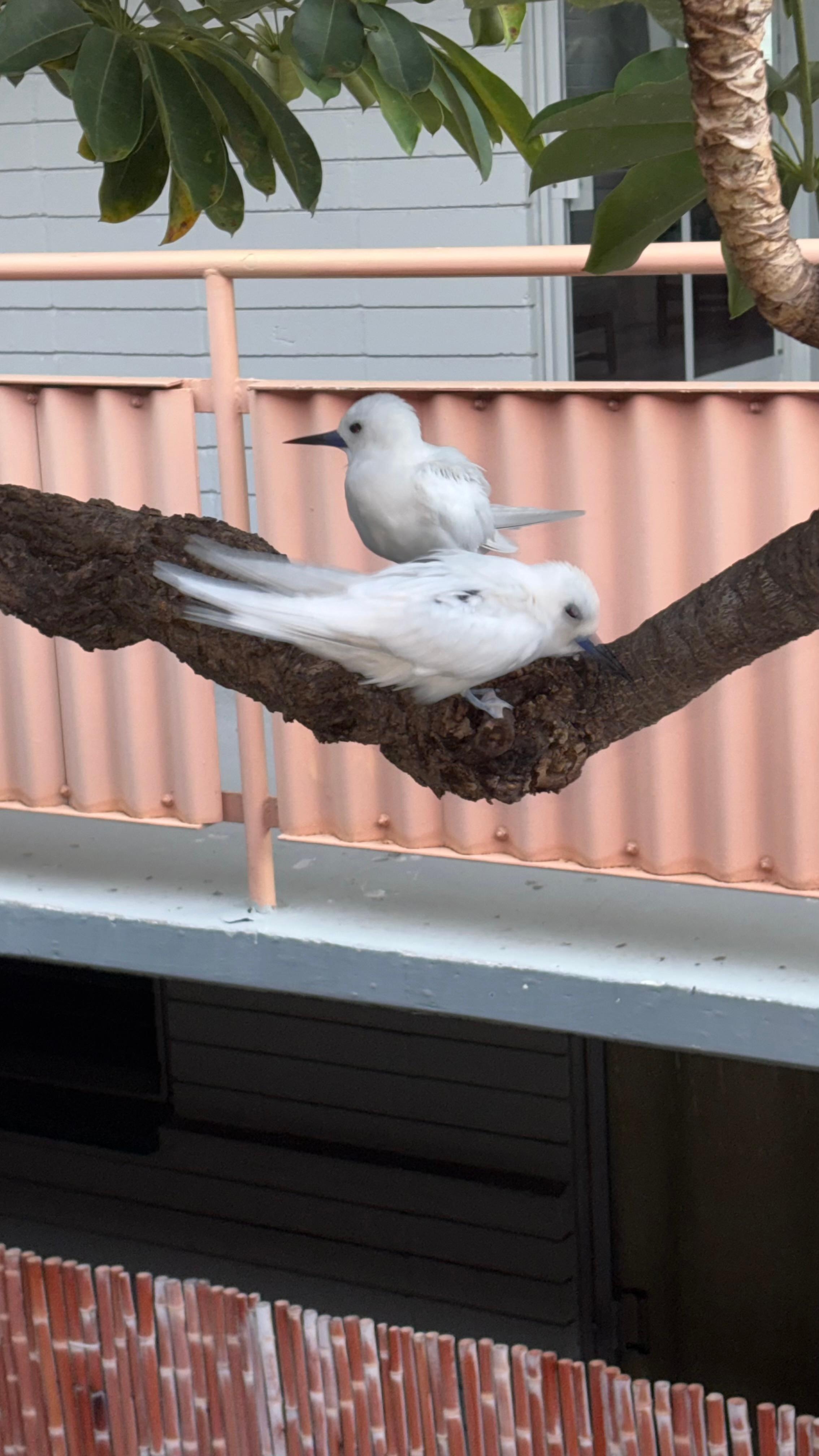 Right outside our door.