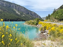 am naheliegenden See
