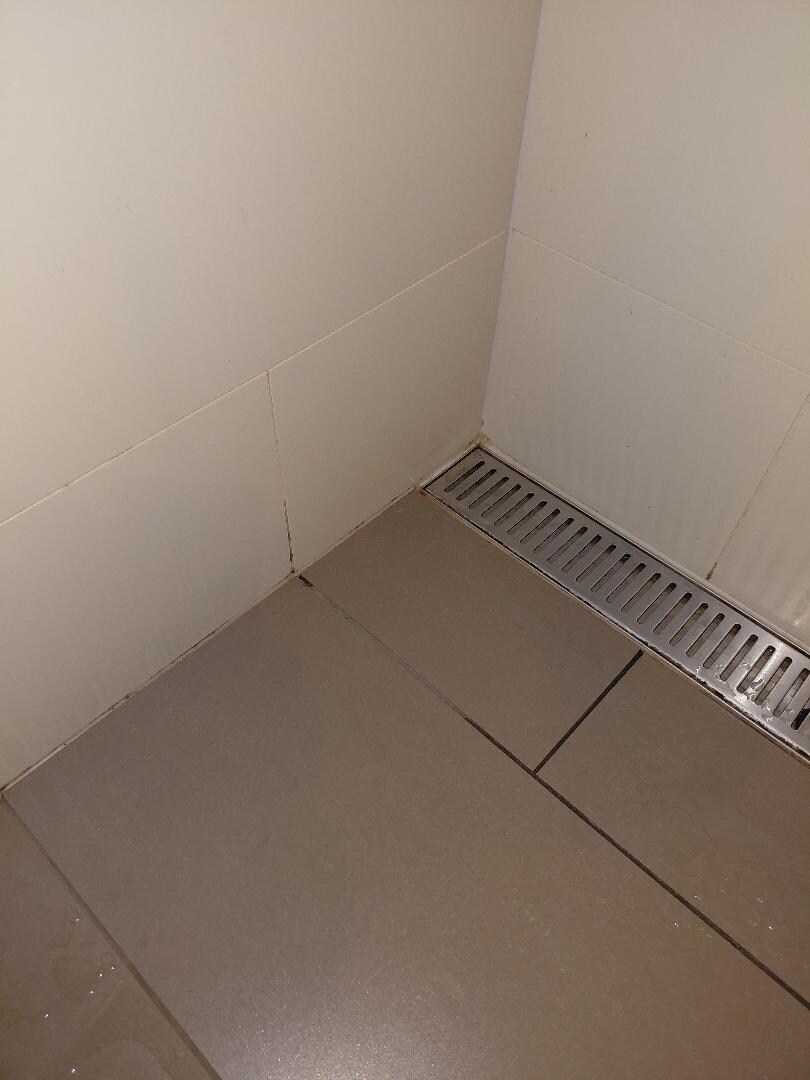 Black mold in shower