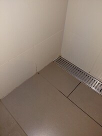 Black mold in shower