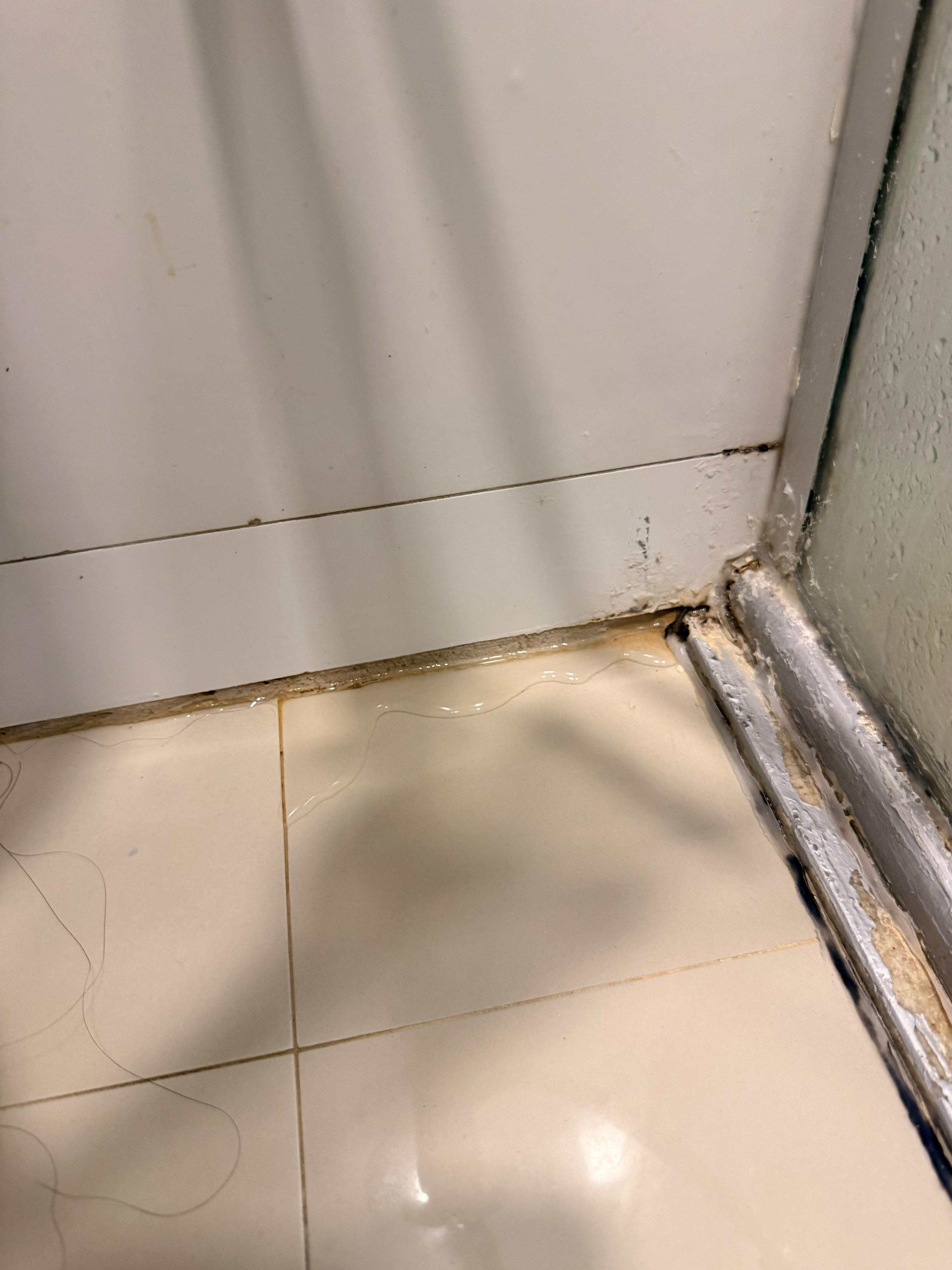 Vazamento do chuveiro para fora do box