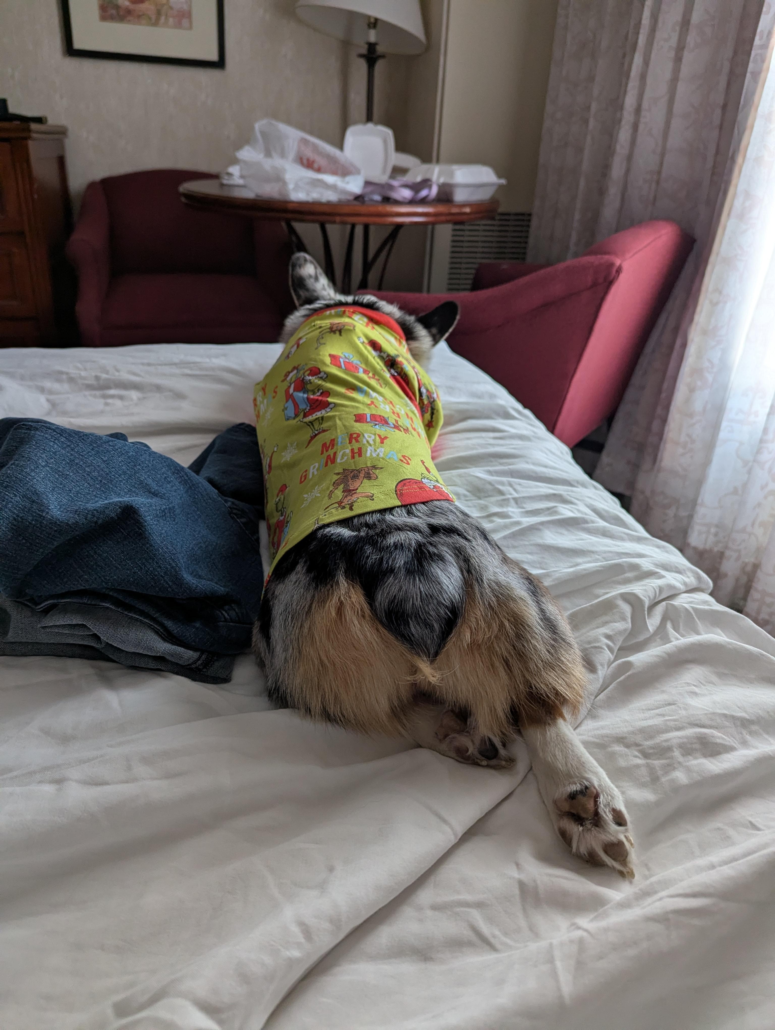 The room was comfortable 