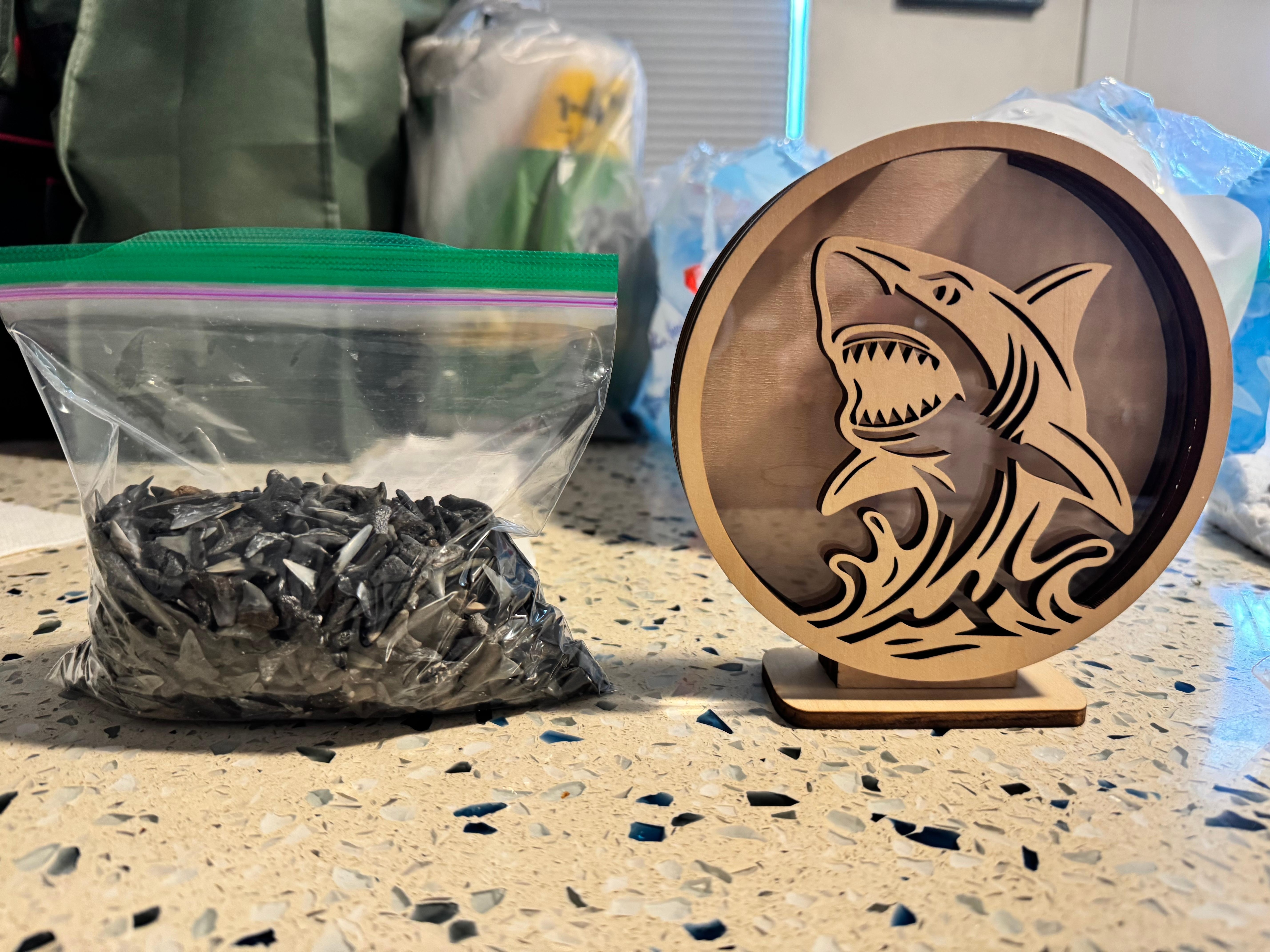 Shark teeth found and holder from a local shop.