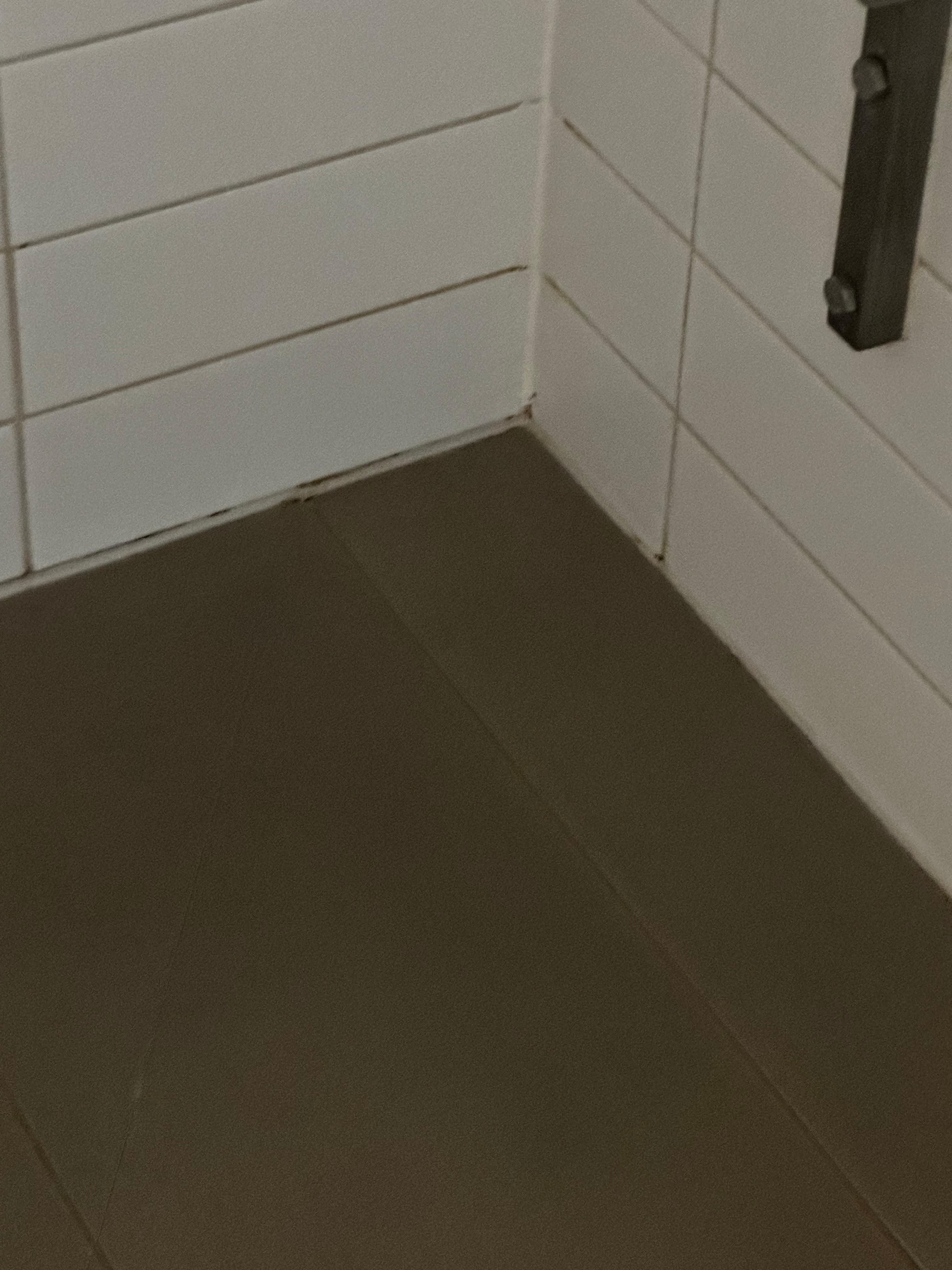 Showers need a good clean 