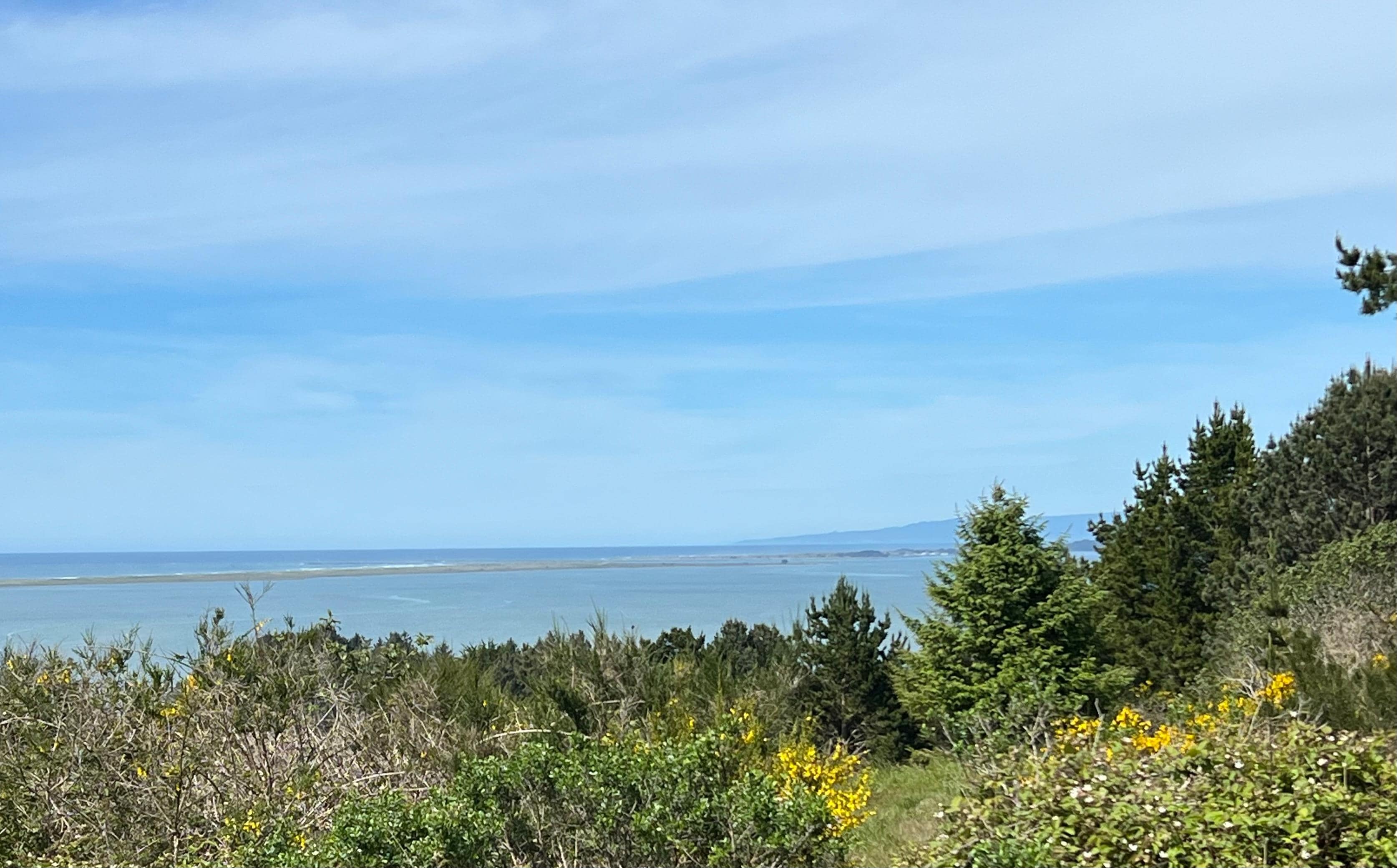 View from driveway 