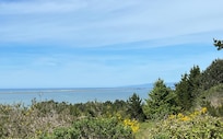 View from driveway