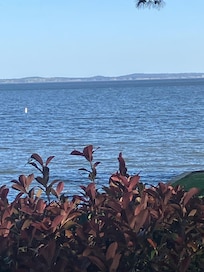 View from the back porch