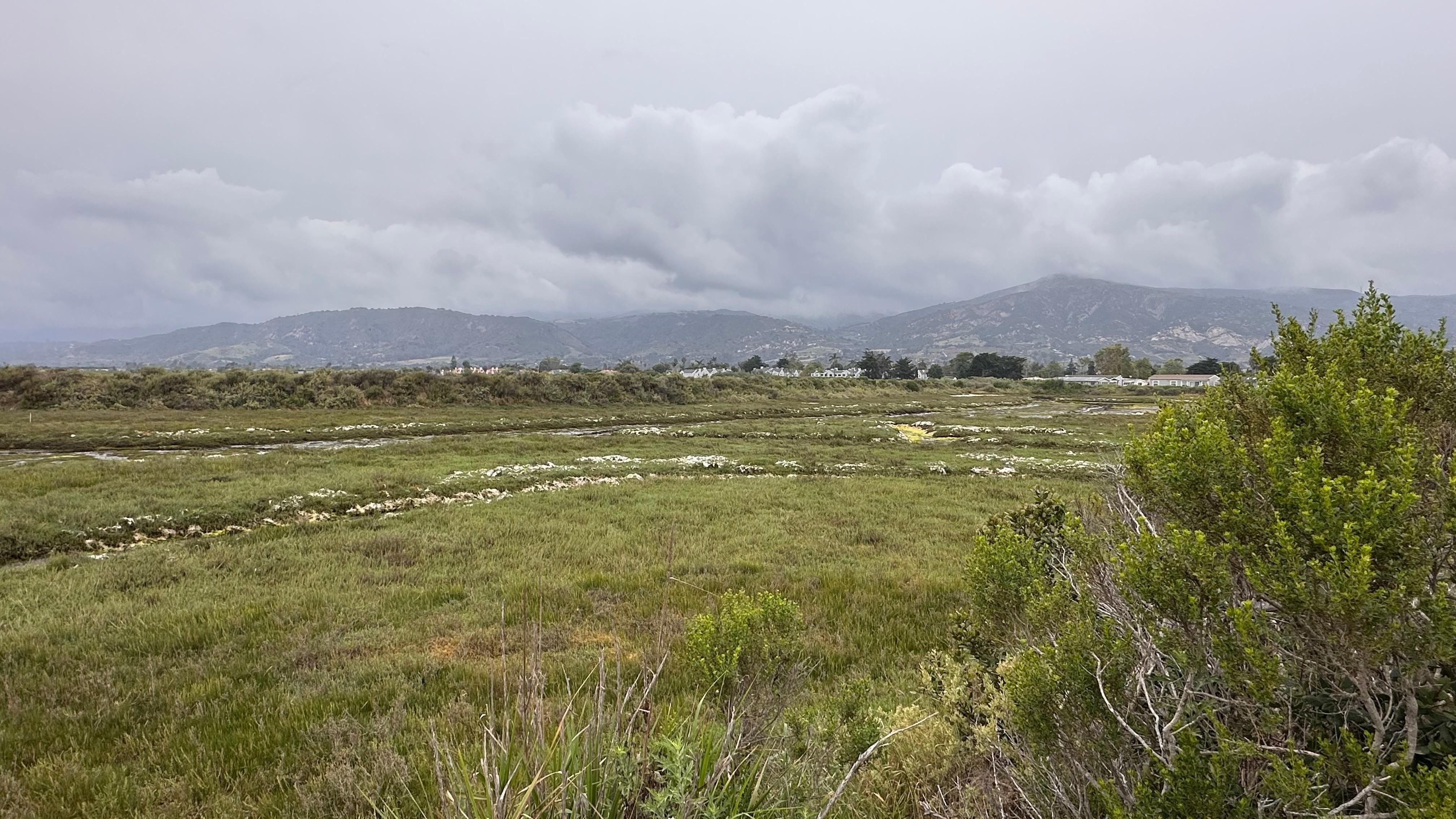 Salt marshes down the block.