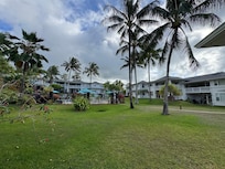 View during the day