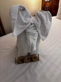 Nice towel art when we checked in