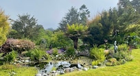 View of backyard pond.