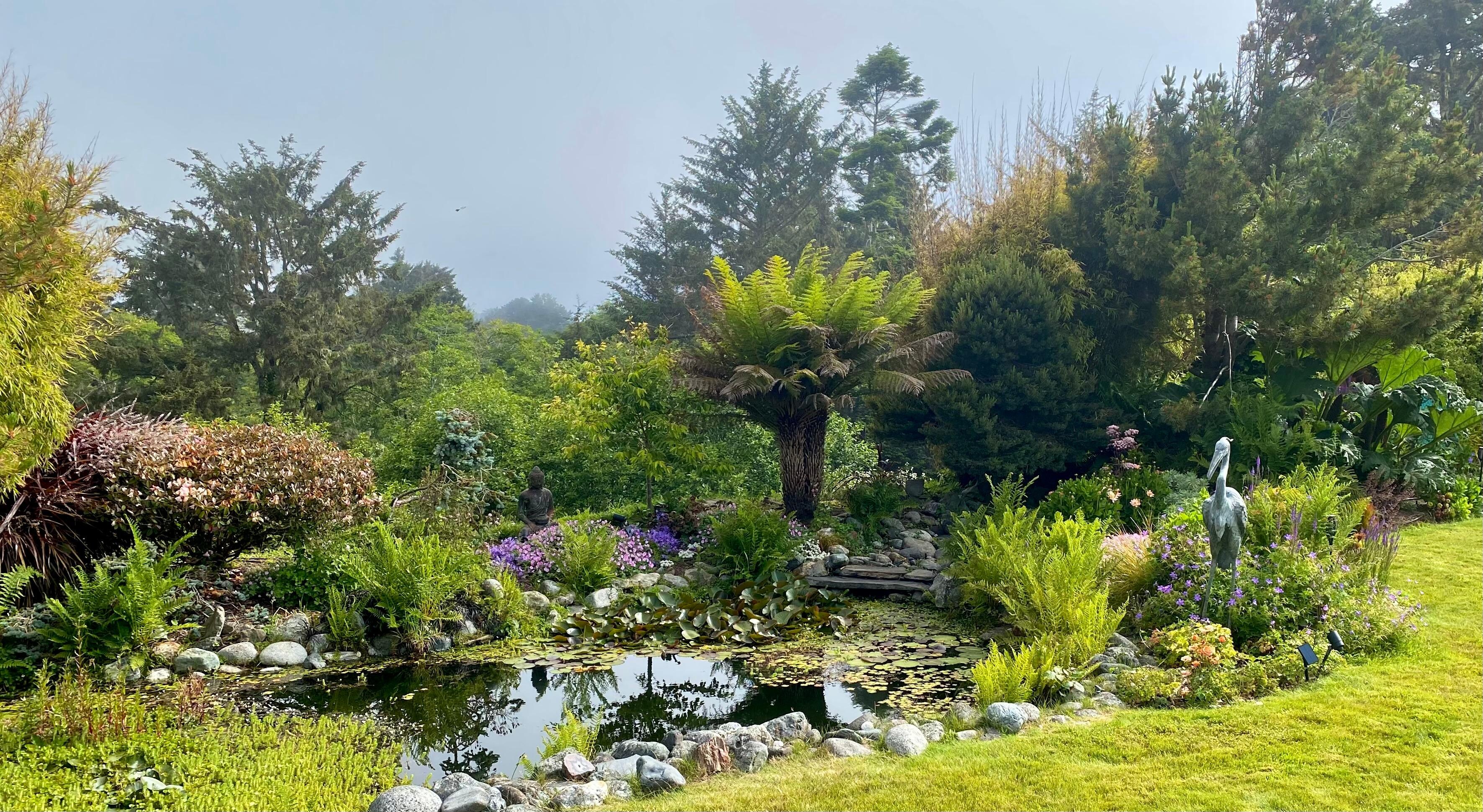 View of backyard pond. 