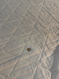 Blood stain on the mattress pad