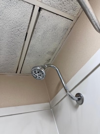 Shower ceiling
