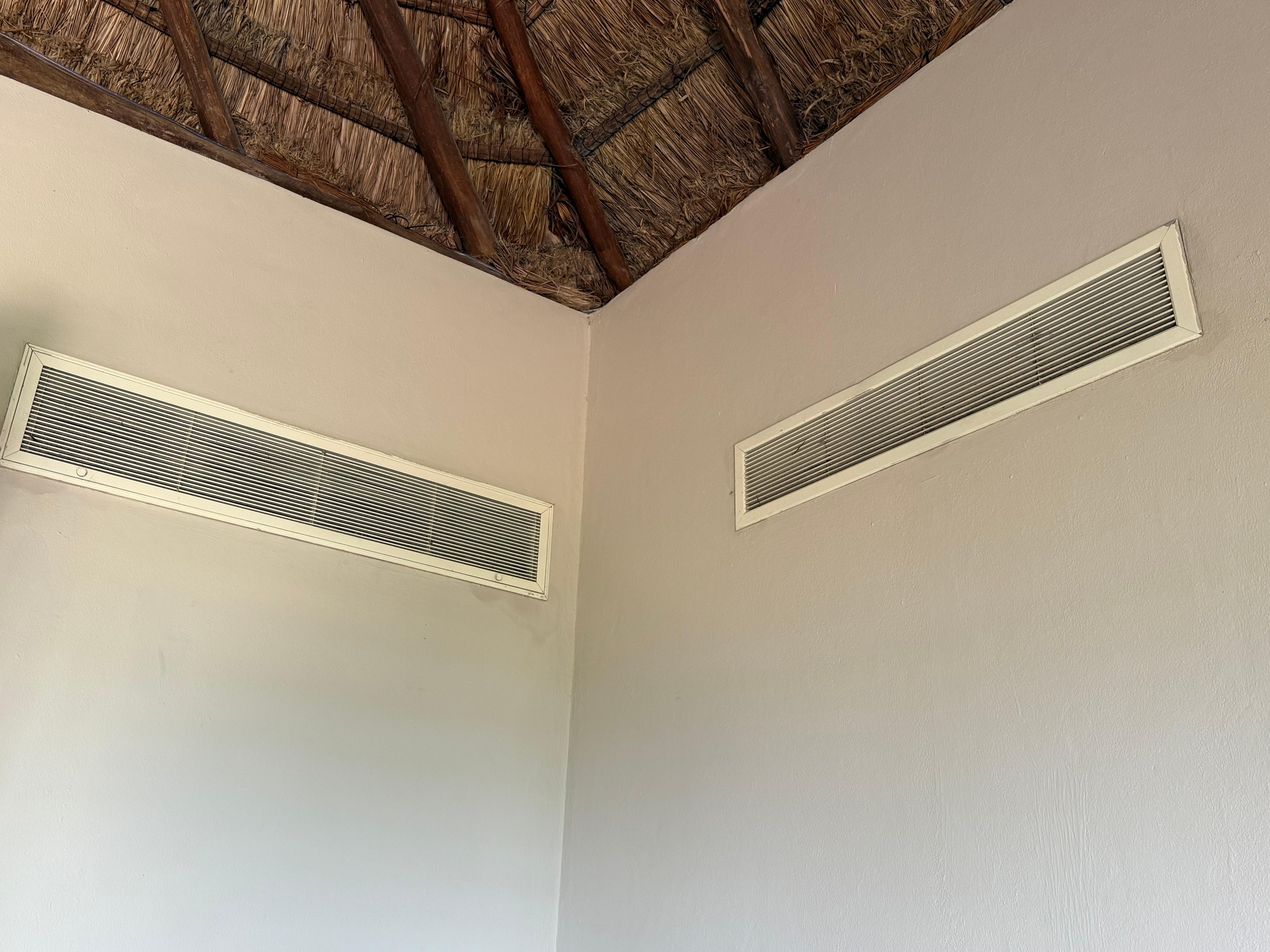 thatched roof with rusty air vents 